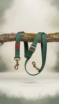 Nylon Hands-Free Leash With Reflective Weave